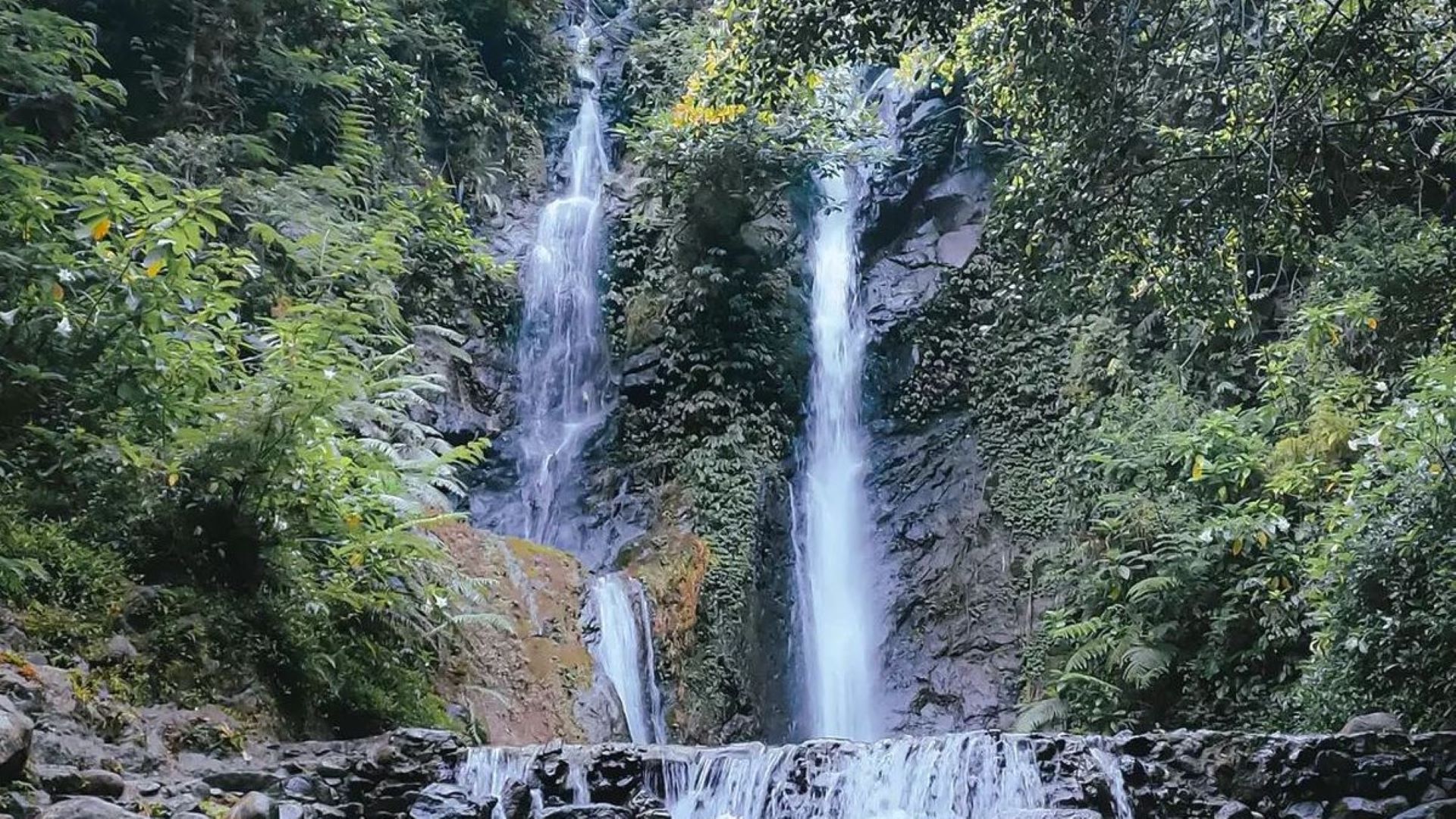 Images