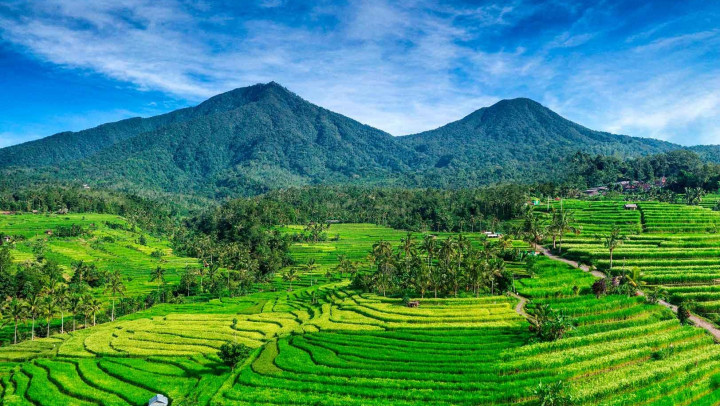 Bali's Scenic Terraces and Heritage Sunset